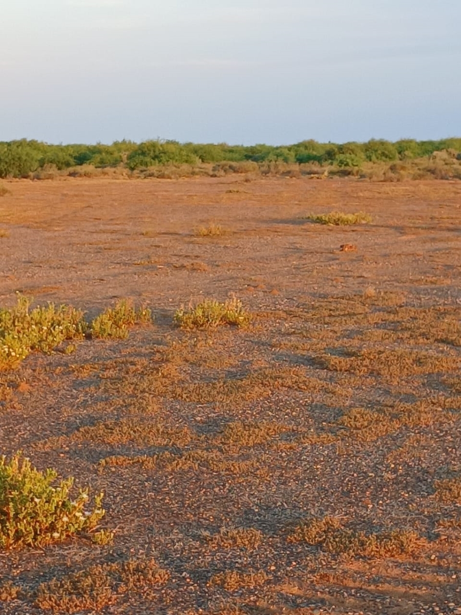 Commercial Property for Sale in Vanwyksvlei Northern Cape